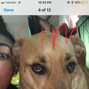 Meet your Posher, Sandra